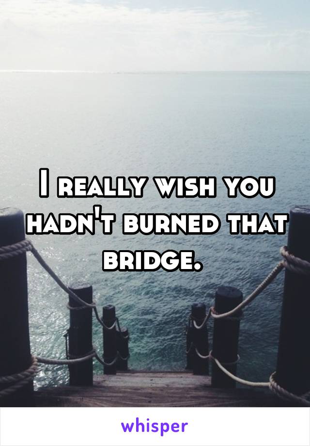 I really wish you hadn't burned that bridge. 