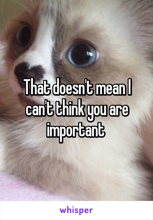 That doesn't mean I can't think you are important 