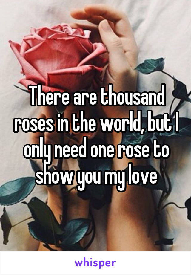 There are thousand roses in the world, but I only need one rose to show you my love