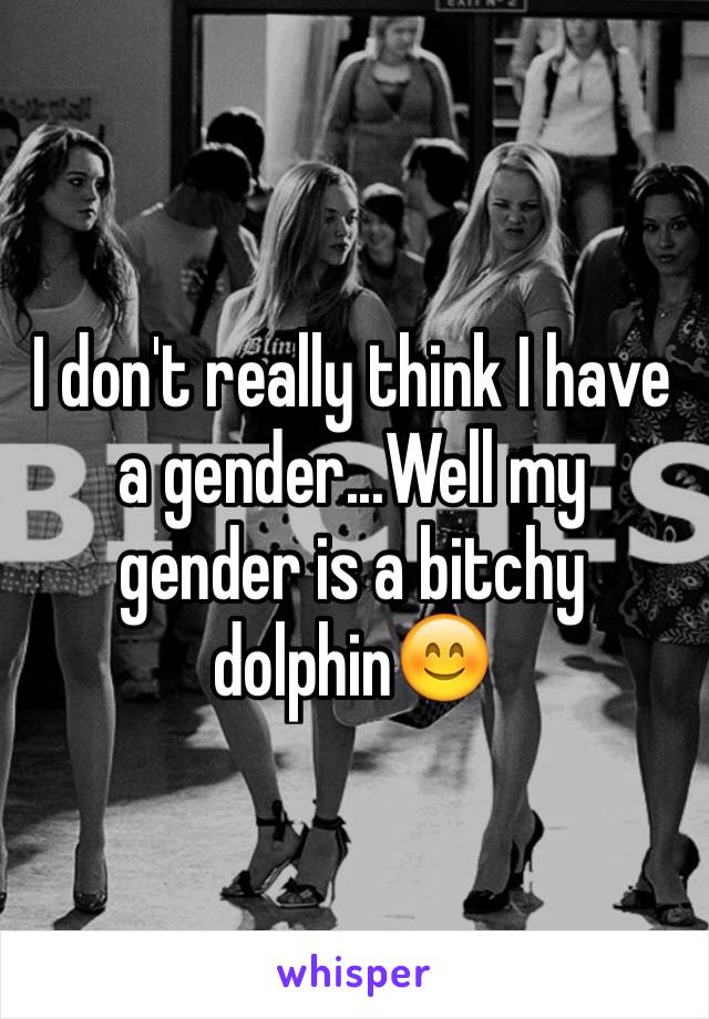 I don't really think I have a gender...Well my gender is a bitchy dolphin😊