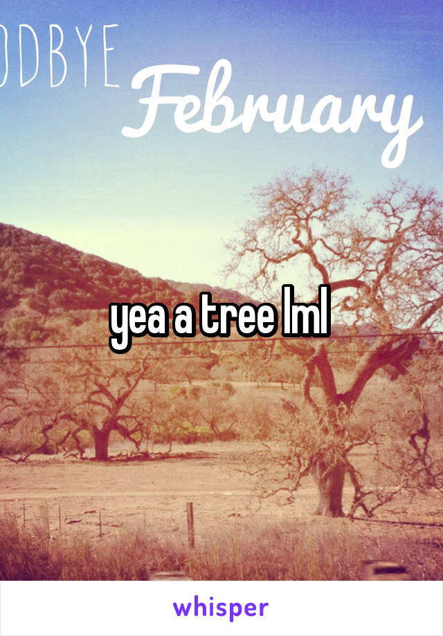 yea a tree lml 