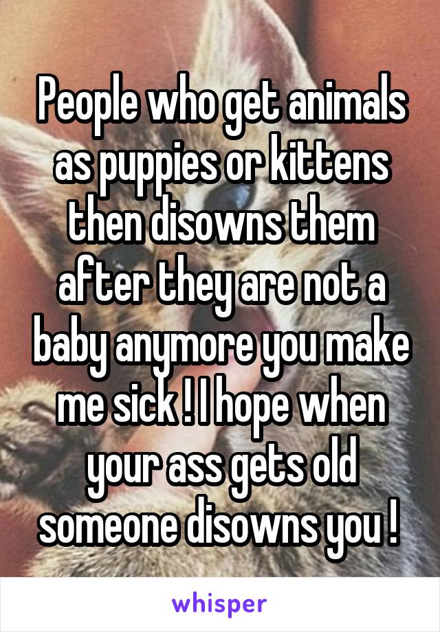 People who get animals as puppies or kittens then disowns them after they are not a baby anymore you make me sick ! I hope when your ass gets old someone disowns you ! 