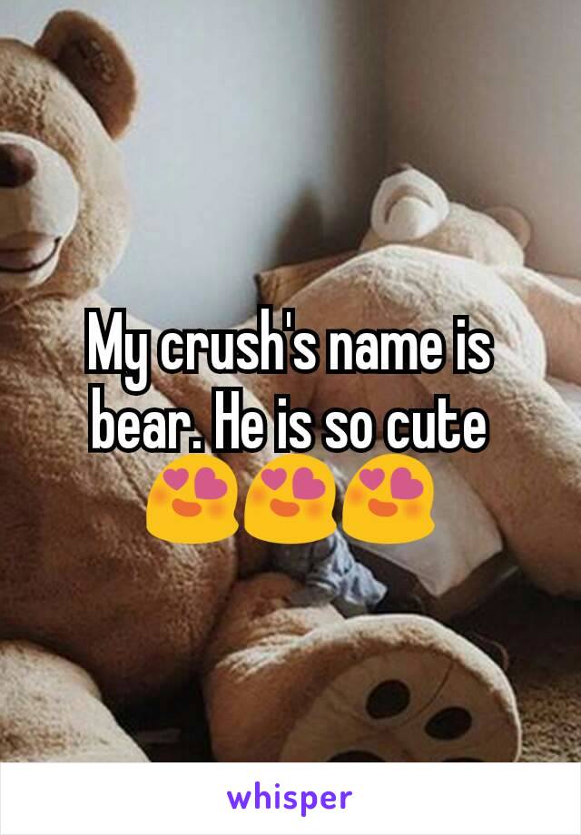 My crush's name is bear. He is so cute
😍😍😍