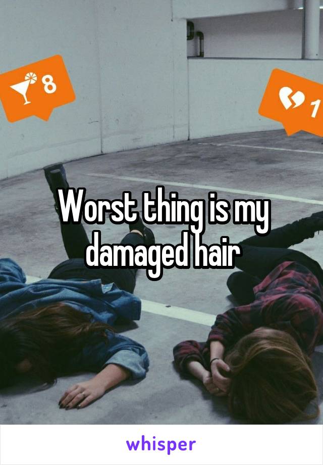 Worst thing is my damaged hair