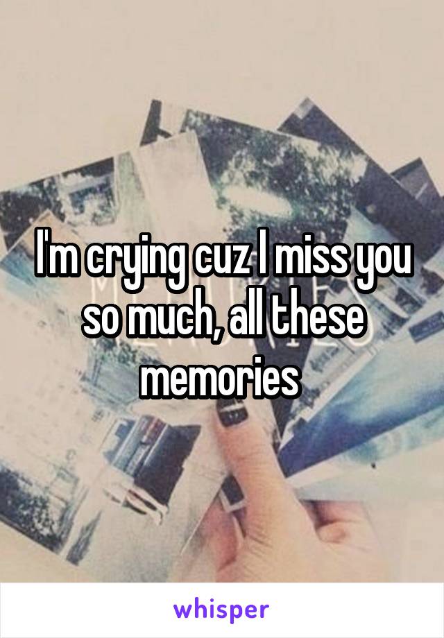 I'm crying cuz I miss you so much, all these memories 