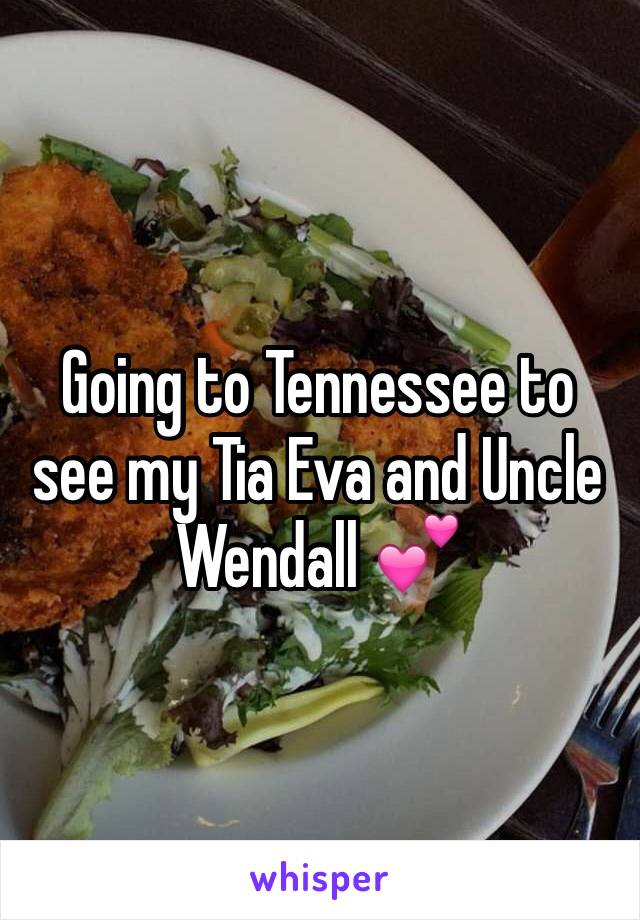 Going to Tennessee to see my Tia Eva and Uncle Wendall 💕