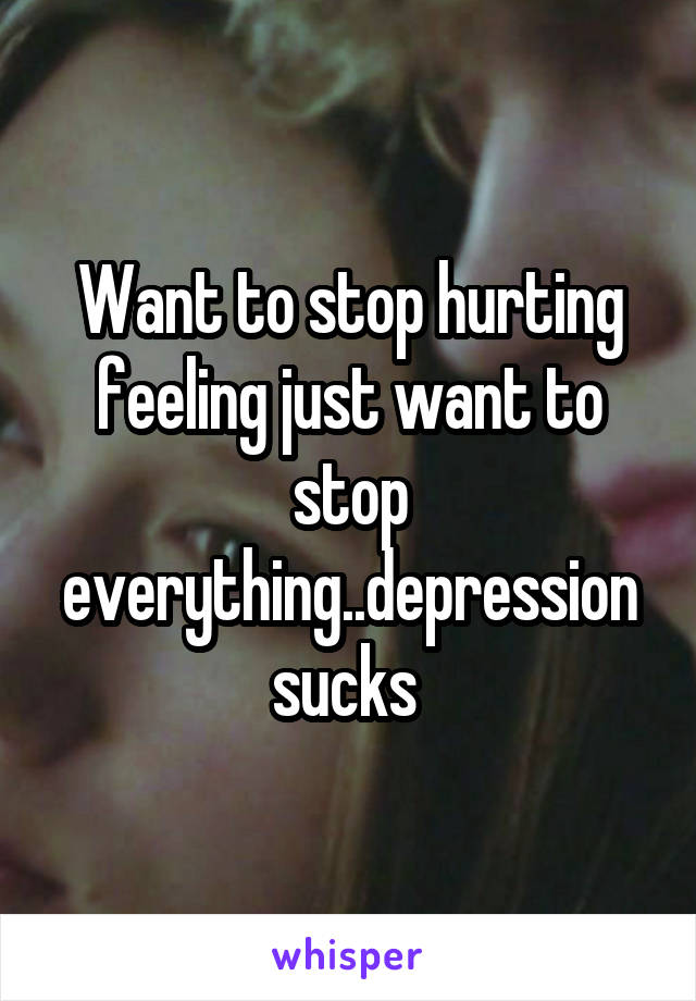 Want to stop hurting feeling just want to stop everything..depression sucks 