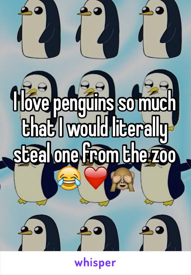 I love penguins so much that I would literally steal one from the zoo 😂❤️🙈