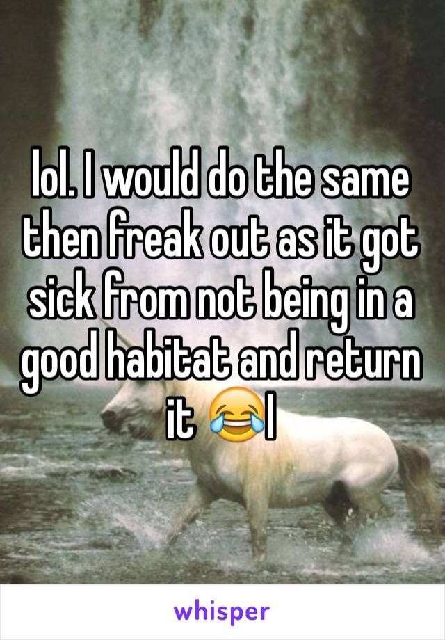 lol. I would do the same then freak out as it got sick from not being in a good habitat and return it 😂I
