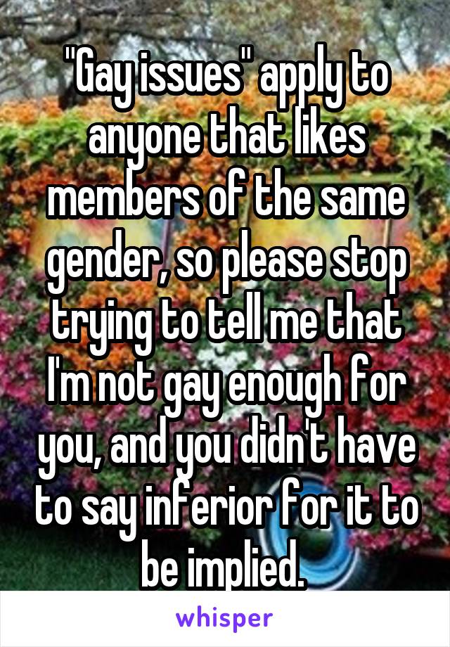 "Gay issues" apply to anyone that likes members of the same gender, so please stop trying to tell me that I'm not gay enough for you, and you didn't have to say inferior for it to be implied. 