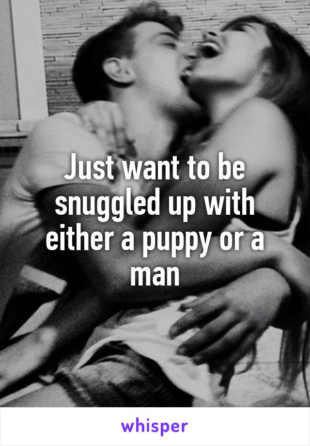 Just want to be snuggled up with either a puppy or a man