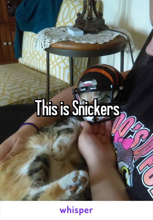 This is Snickers