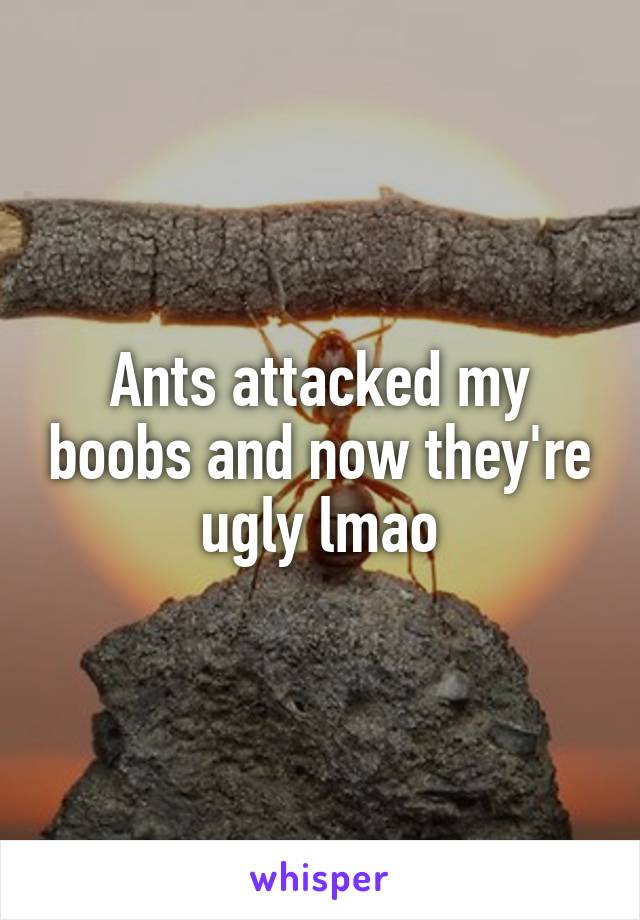 Ants attacked my boobs and now they're ugly lmao