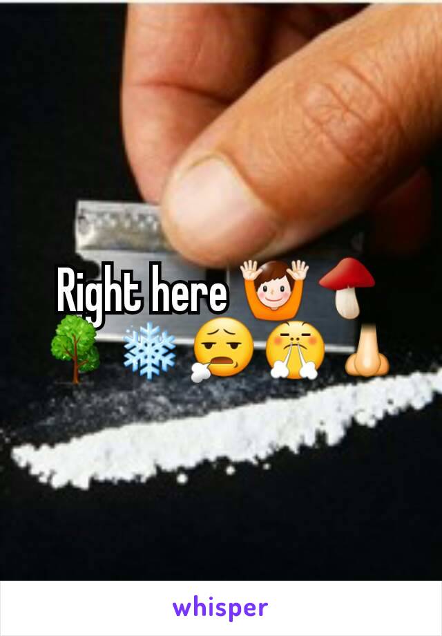 Right here 🙌🍄🌳❄😧😤👃