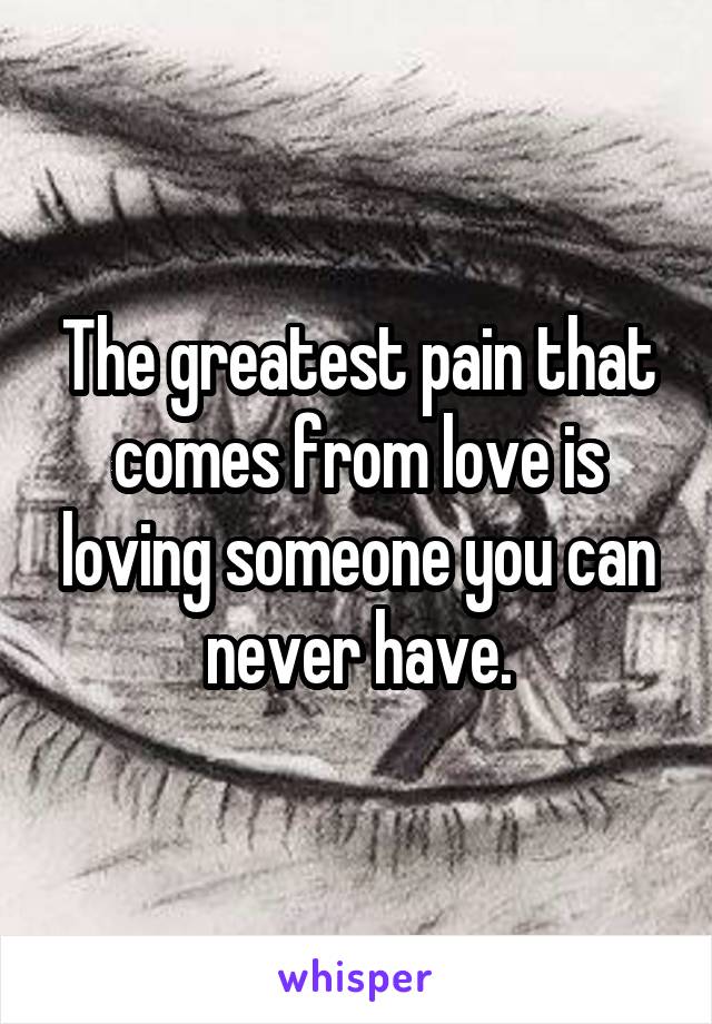 The greatest pain that comes from love is loving someone you can never have.