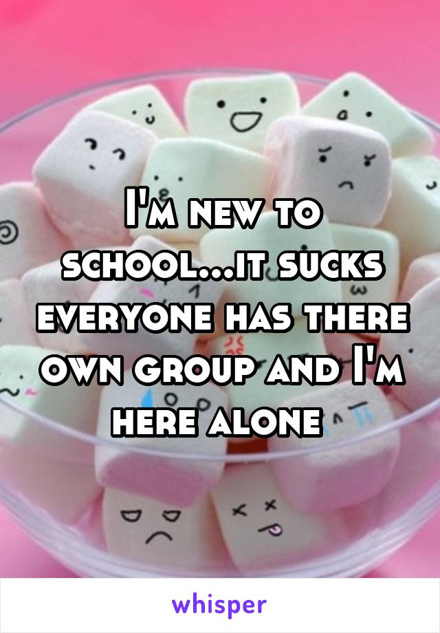 I'm new to school...it sucks everyone has there own group and I'm here alone 