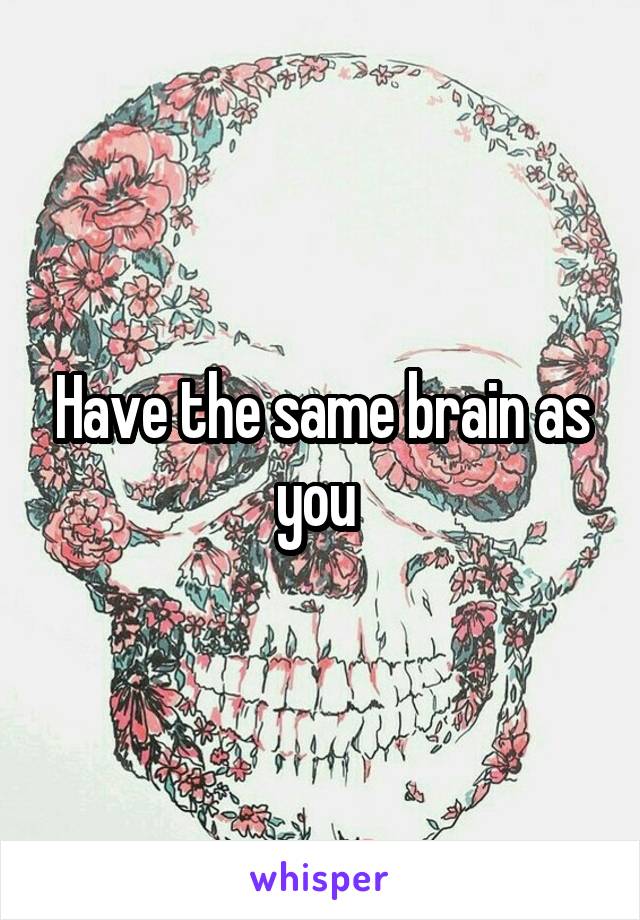 Have the same brain as you 