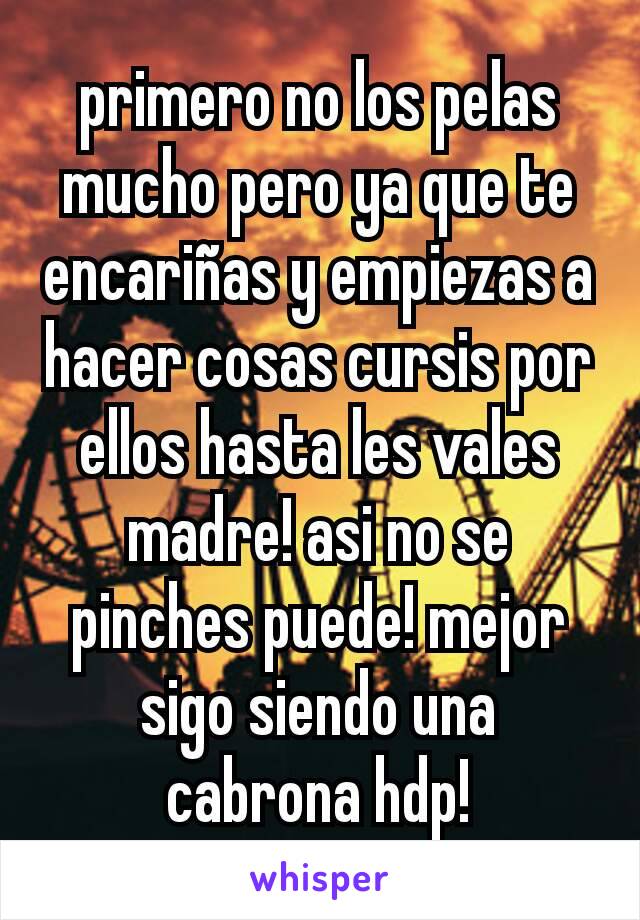 primero no los pelas mucho pero ya que te encariñas y empiezas a hacer cosas cursis por ellos hasta les vales madre! asi no se pinches puede! mejor sigo siendo una cabrona hdp!