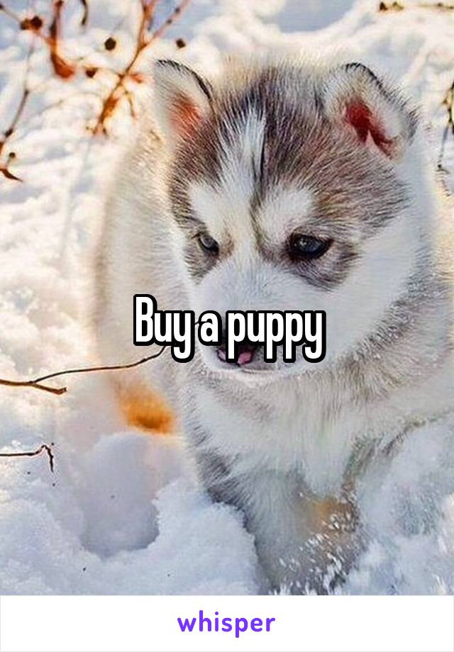 Buy a puppy