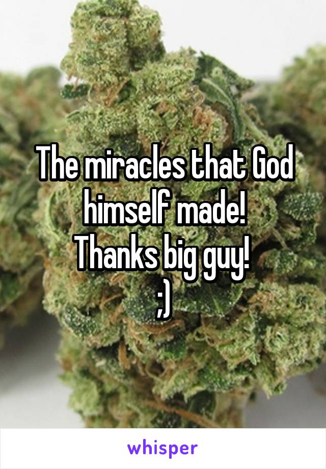 The miracles that God himself made!
Thanks big guy! 
;)