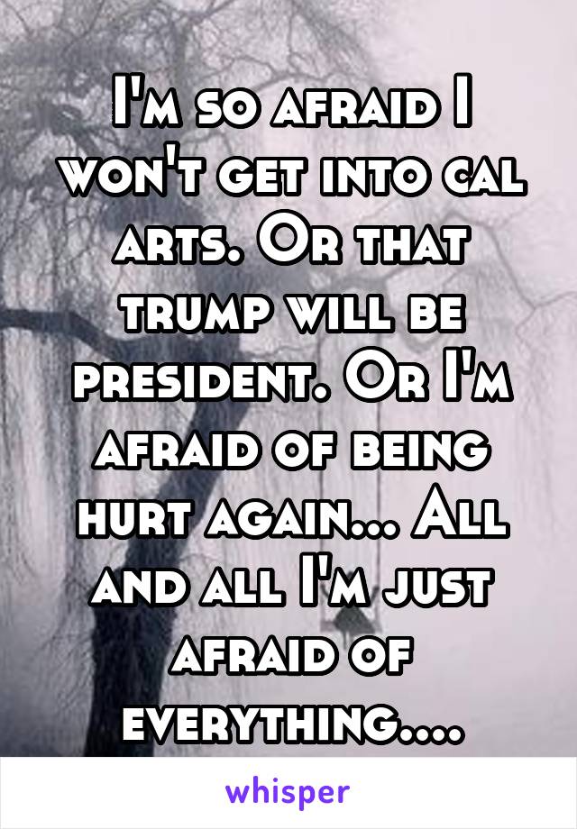 I'm so afraid I won't get into cal arts. Or that trump will be president. Or I'm afraid of being hurt again... All and all I'm just afraid of everything....