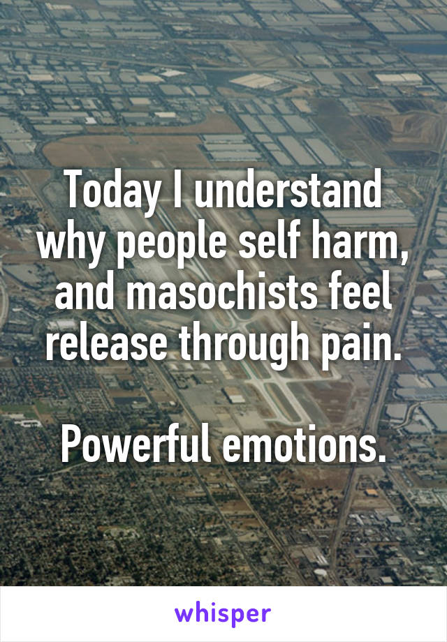 Today I understand why people self harm, and masochists feel release through pain.

Powerful emotions.