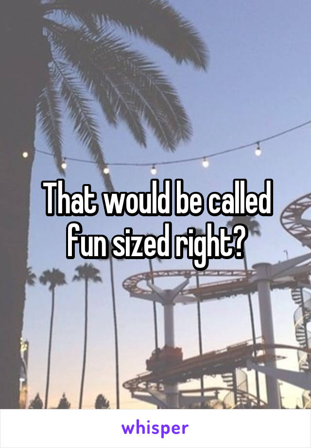 That would be called fun sized right?