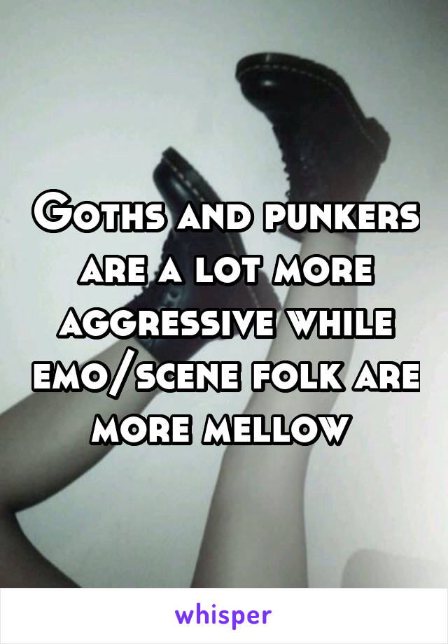 Goths and punkers are a lot more aggressive while emo/scene folk are more mellow 