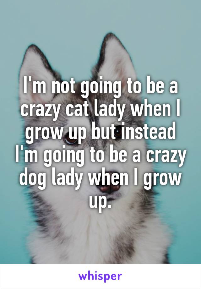 I'm not going to be a crazy cat lady when I grow up but instead I'm going to be a crazy dog lady when I grow up.