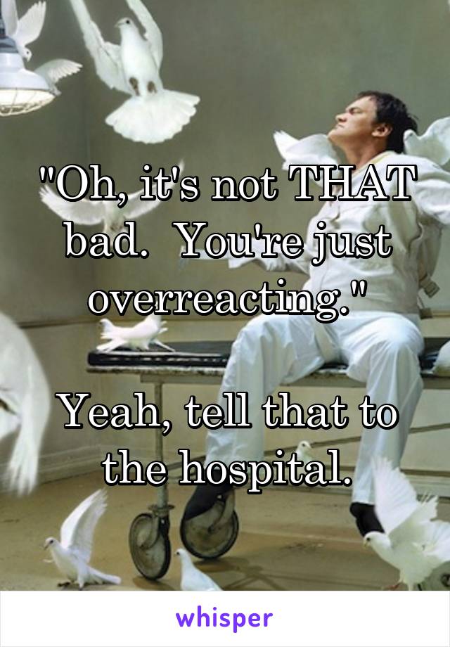 "Oh, it's not THAT bad.  You're just overreacting."

Yeah, tell that to the hospital.