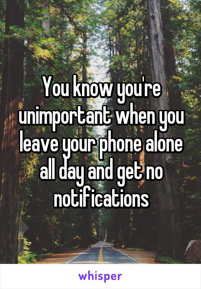 You know you're unimportant when you leave your phone alone all day and get no notifications