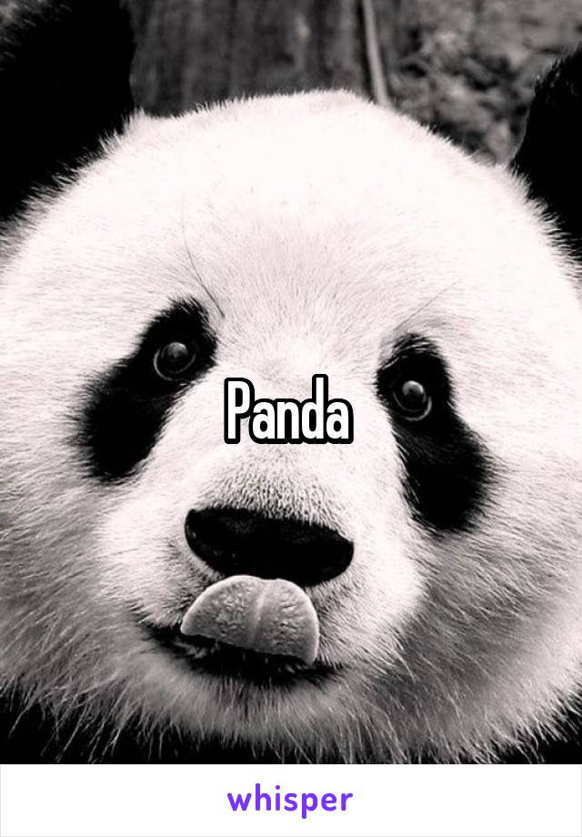 Panda 