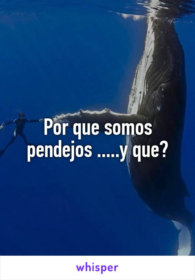 Por que somos pendejos .....y que?