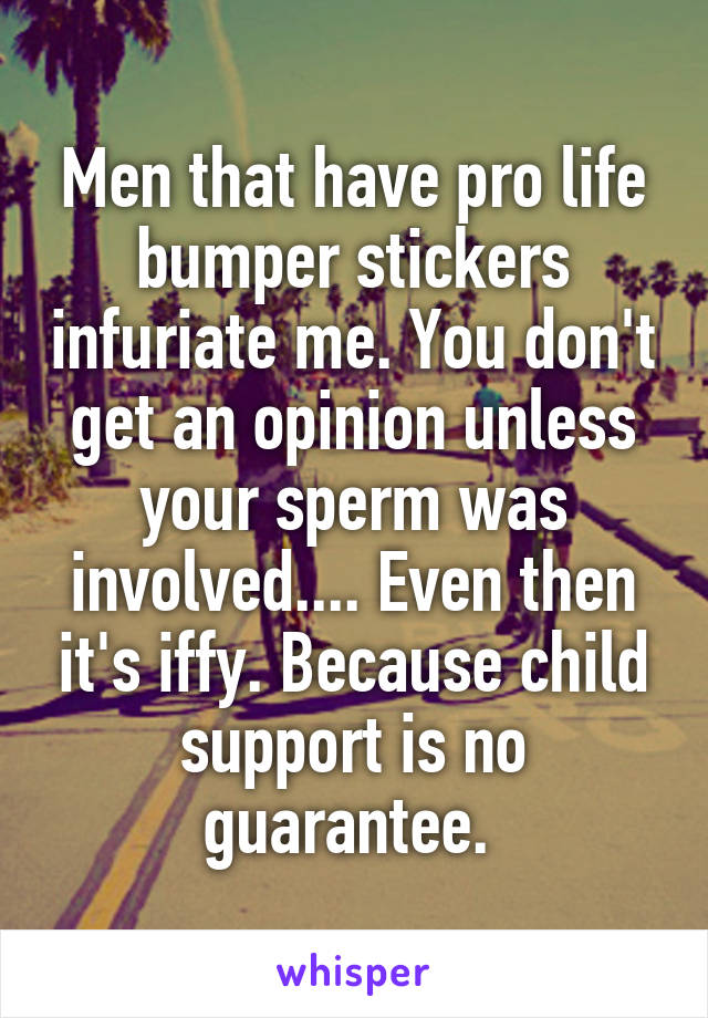 Men that have pro life bumper stickers infuriate me. You don't get an opinion unless your sperm was involved.... Even then it's iffy. Because child support is no guarantee. 