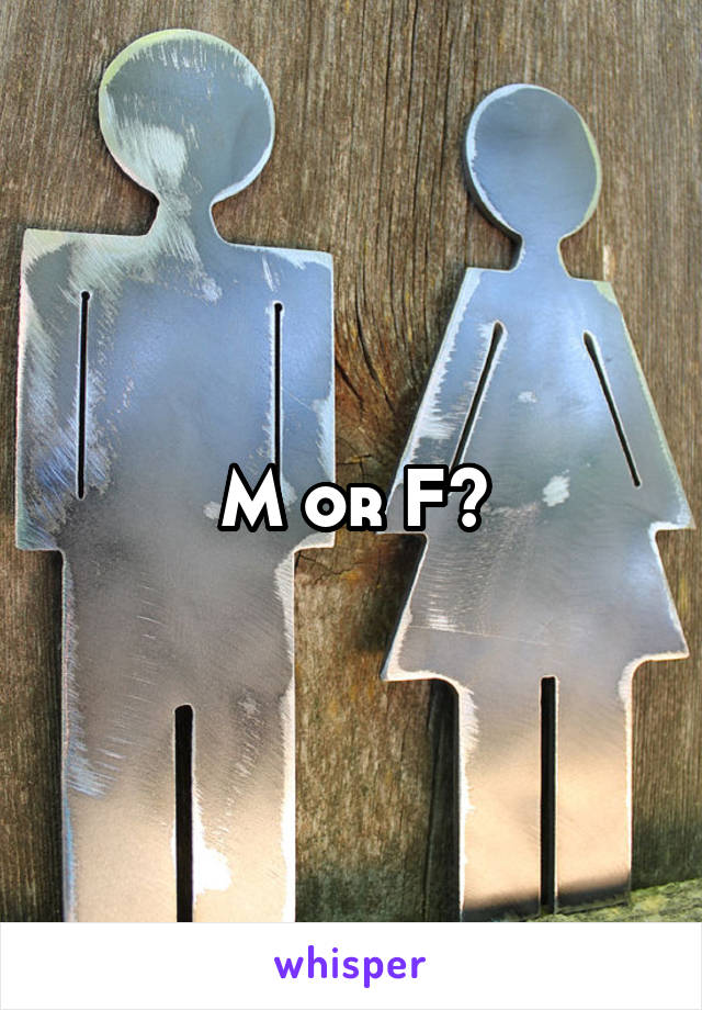 M or F?