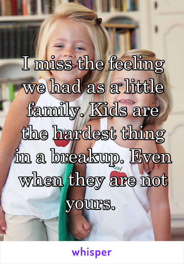 I miss the feeling we had as a little family. Kids are the hardest thing in a breakup. Even when they are not yours. 