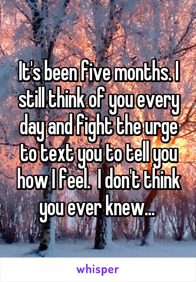 It's been five months. I still think of you every day and fight the urge to text you to tell you how I feel.  I don't think you ever knew... 