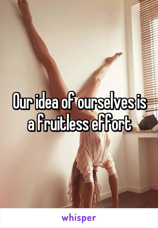 Our idea of ourselves is a fruitless effort