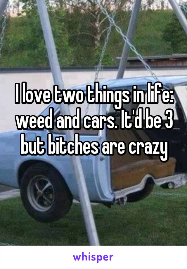 I love two things in life: weed and cars. It'd be 3 but bitches are crazy
