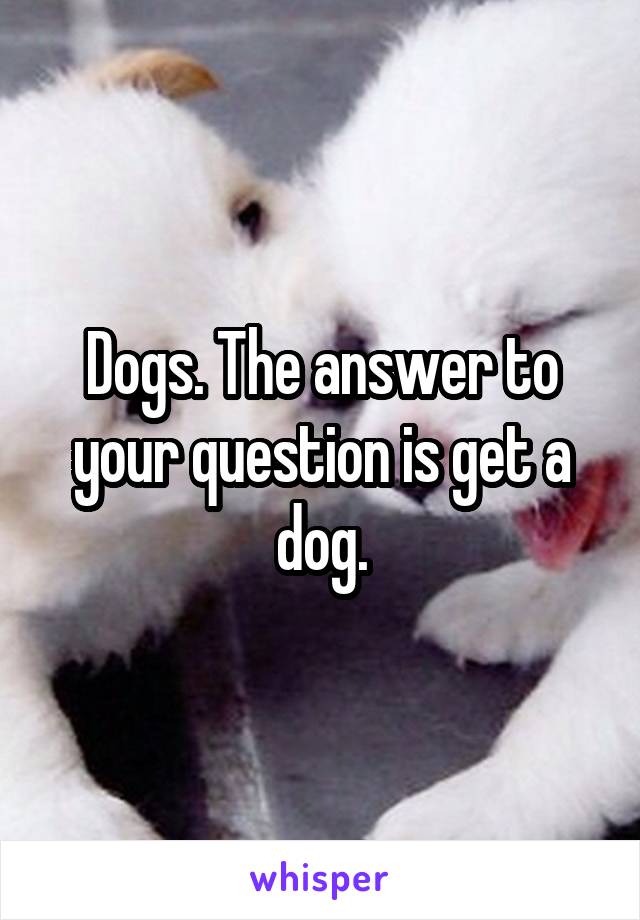 Dogs. The answer to your question is get a dog.