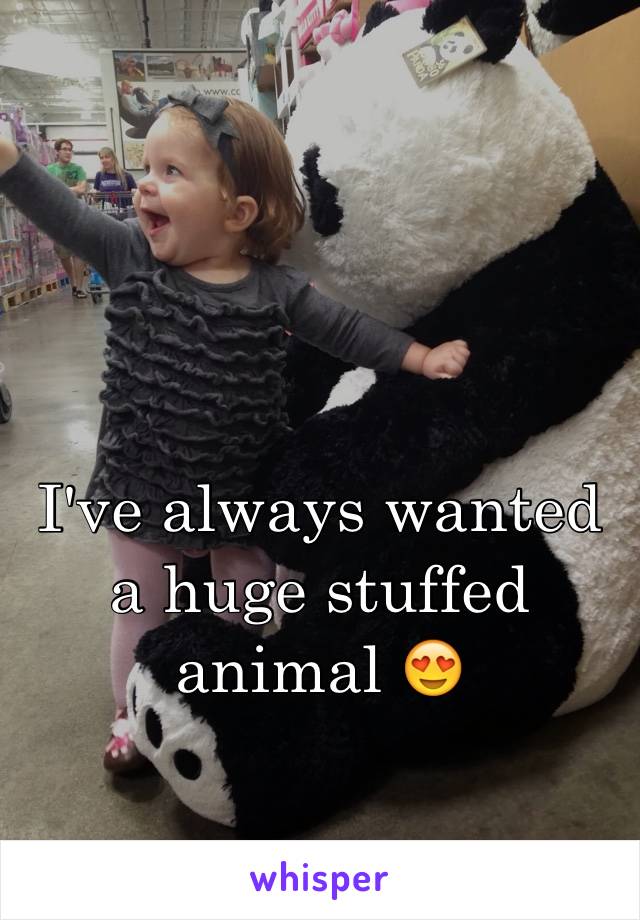 I've always wanted a huge stuffed animal 😍