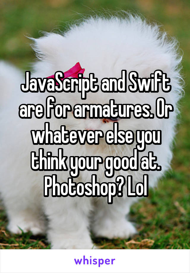 JavaScript and Swift are for armatures. Or whatever else you think your good at. Photoshop? Lol