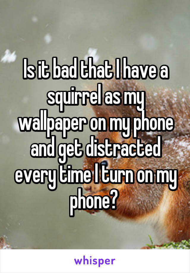 Is it bad that I have a squirrel as my wallpaper on my phone and get distracted every time I turn on my phone? 