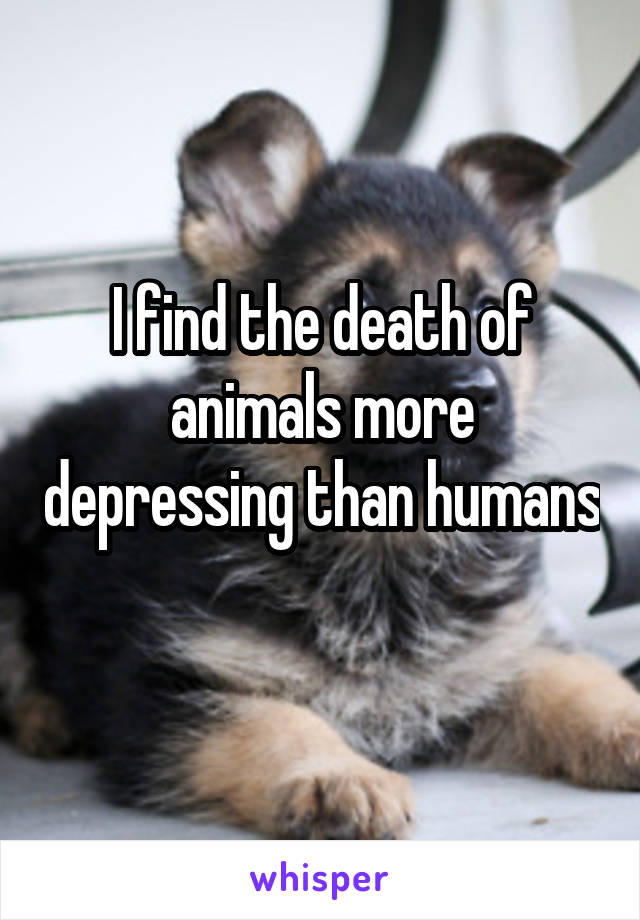 I find the death of animals more depressing than humans 