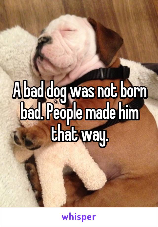 A bad dog was not born bad. People made him that way.