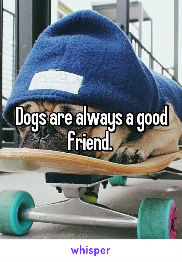 Dogs are always a good friend. 