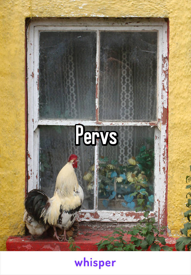 Pervs