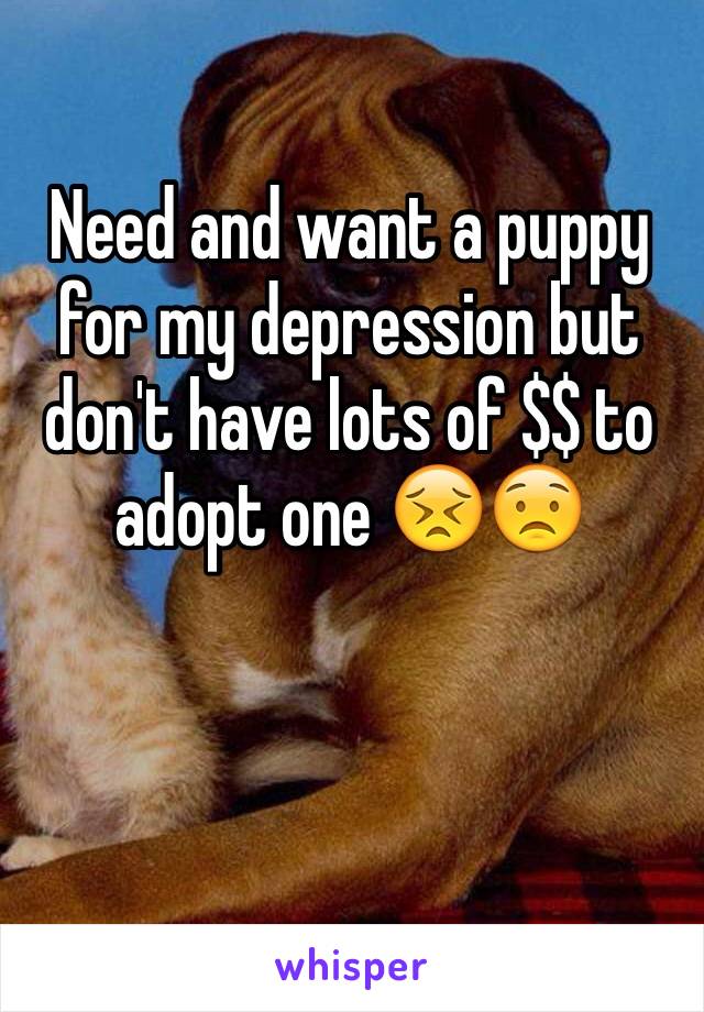 Need and want a puppy for my depression but don't have lots of $$ to adopt one 😣😟