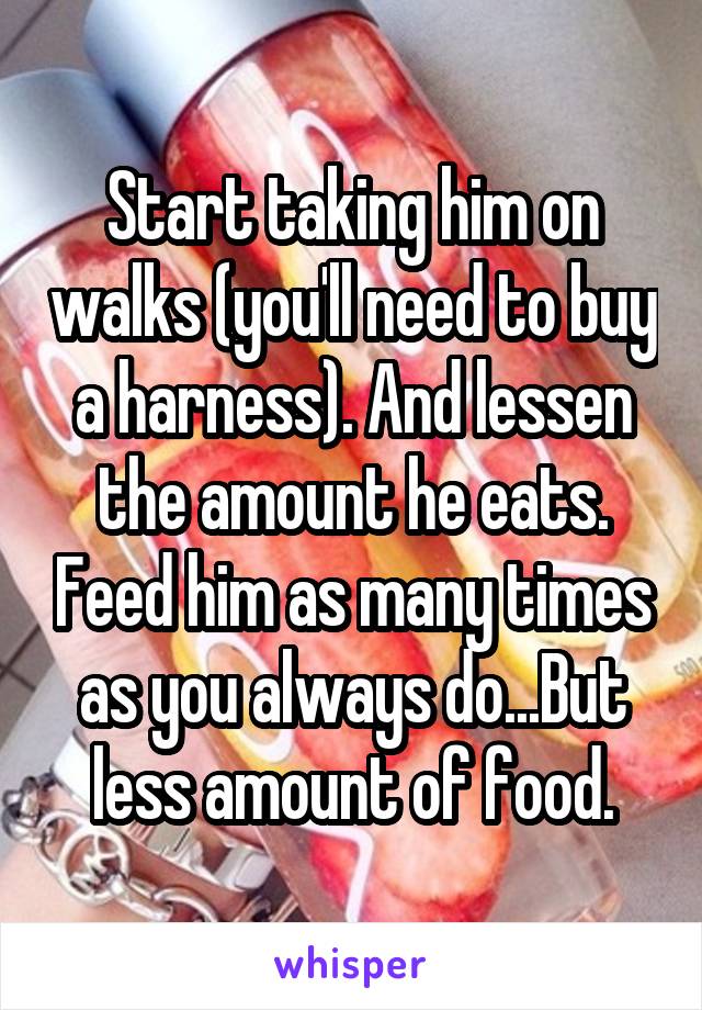 Start taking him on walks (you'll need to buy a harness). And lessen the amount he eats. Feed him as many times as you always do...But less amount of food.