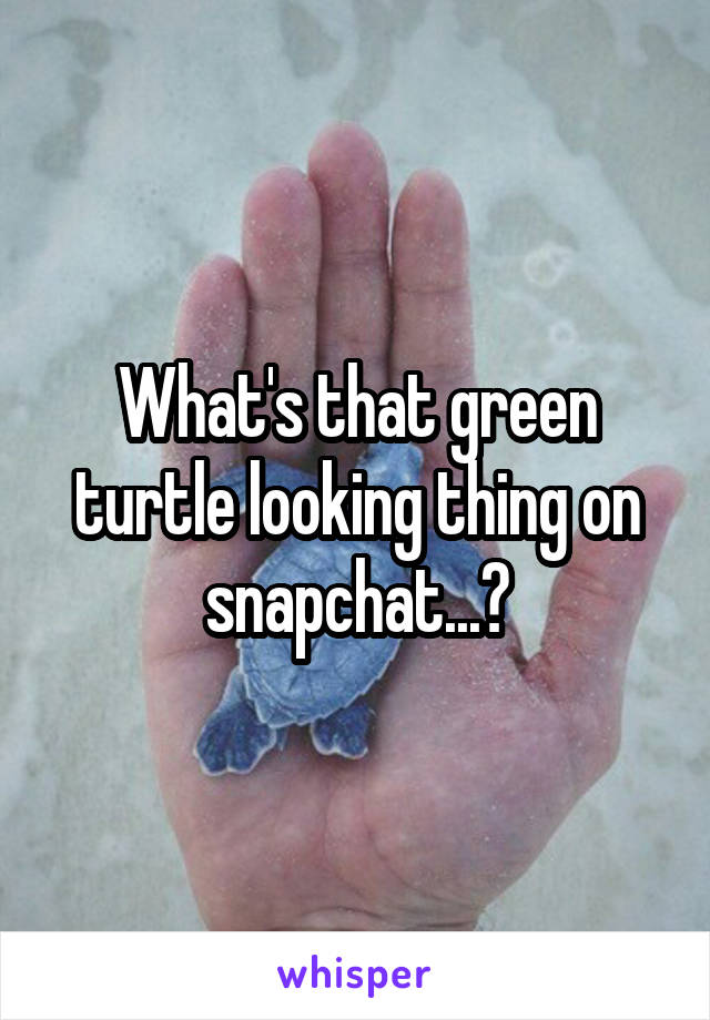 What's that green turtle looking thing on snapchat...?